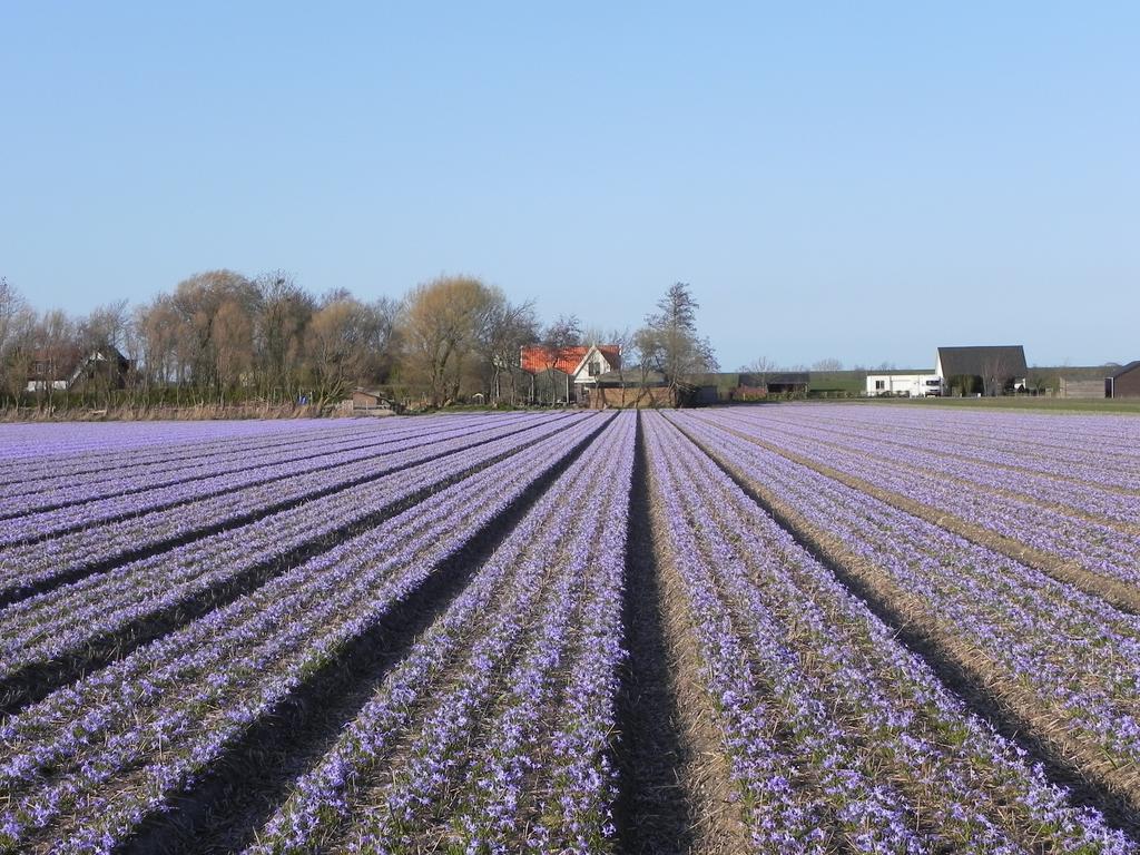Appels En Peren Bed And Breakfast Breezand Exterior foto