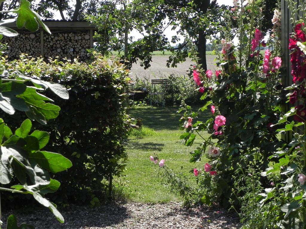 Appels En Peren Bed And Breakfast Breezand Habitación foto