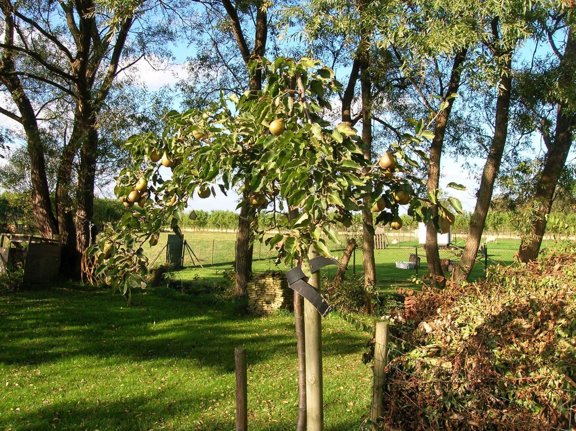 Appels En Peren Bed And Breakfast Breezand Exterior foto