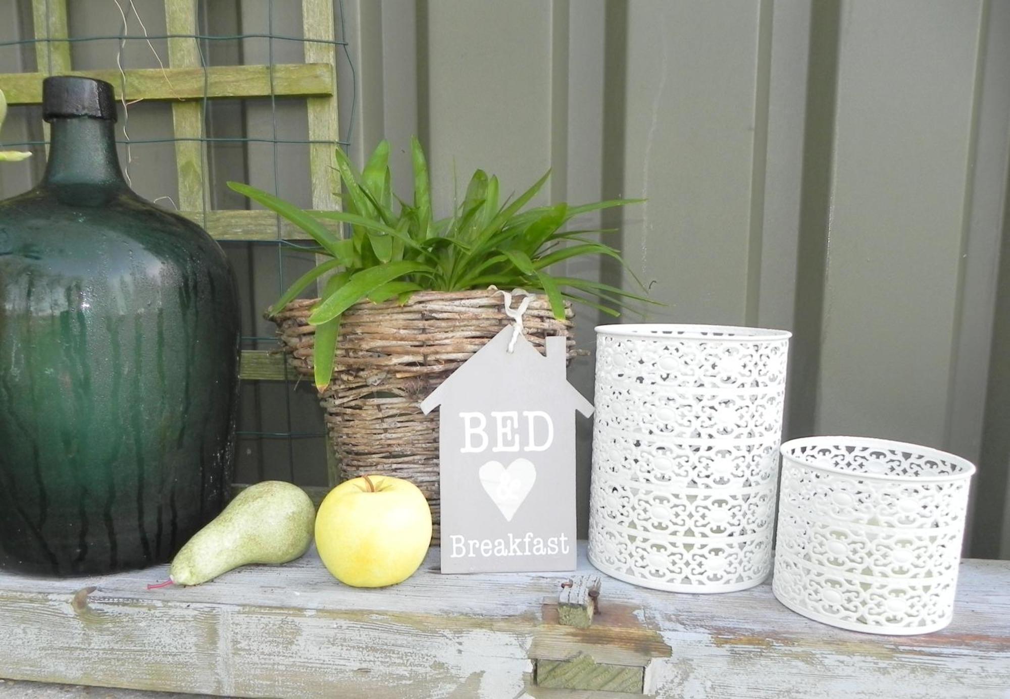 Appels En Peren Bed And Breakfast Breezand Habitación foto