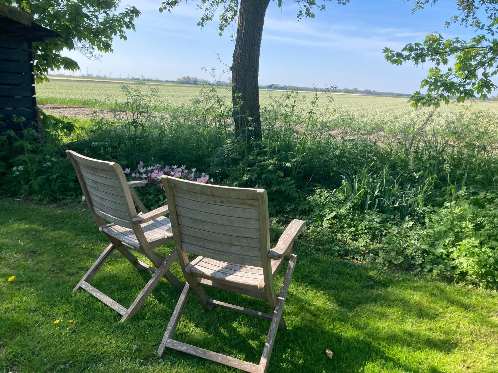 Appels En Peren Bed And Breakfast Breezand Exterior foto