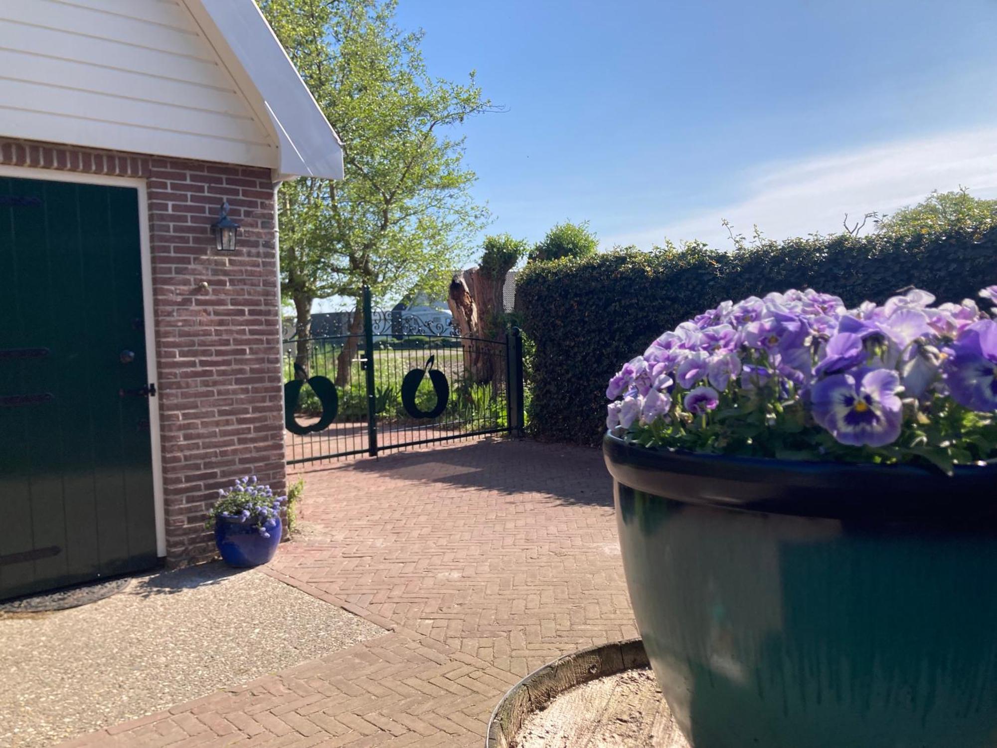 Appels En Peren Bed And Breakfast Breezand Exterior foto