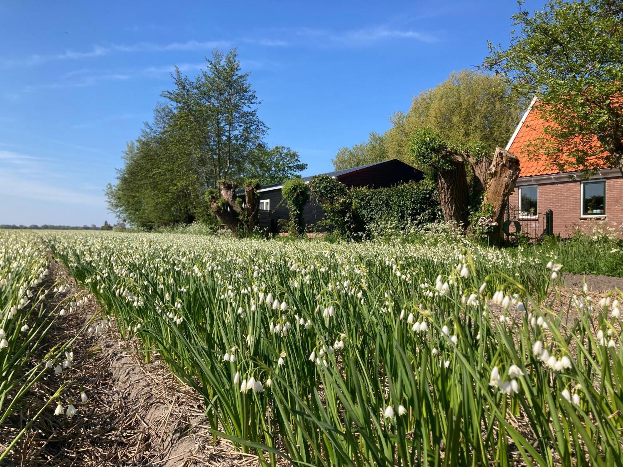 Appels En Peren Bed And Breakfast Breezand Exterior foto