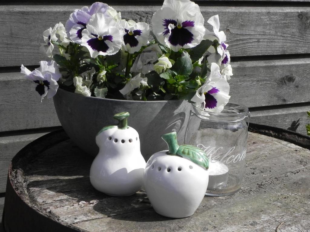 Appels En Peren Bed And Breakfast Breezand Exterior foto