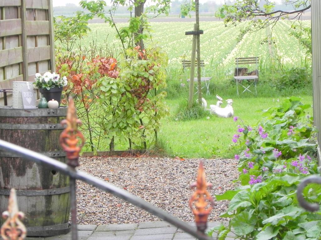 Appels En Peren Bed And Breakfast Breezand Habitación foto